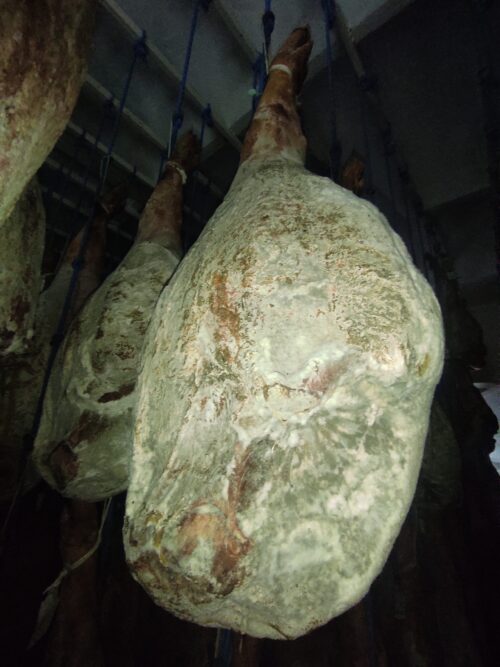 Jamón C/P V Duroc Graso    L181-25